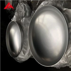 Gr12 Titanium Schotelkop